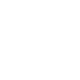 ISO-Icon